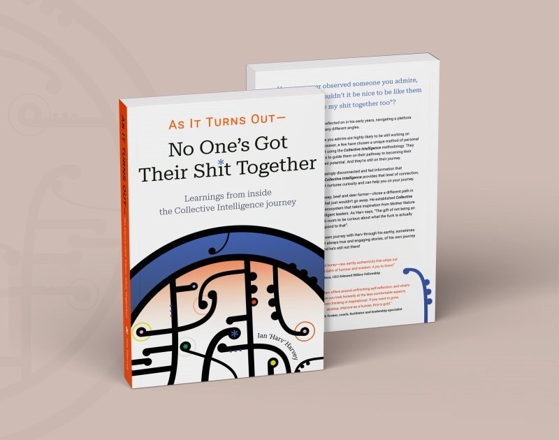 As It Turns Out – No-one’s Got Their Shit Together: Learnings from inside the Collective Intelligence journey